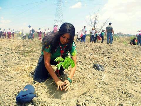 GUARITOS_SCOUTS's tweet photo. #ArbolesPorElMundo #UnScoutUnArbol http://t.co/fuSICFC7hE