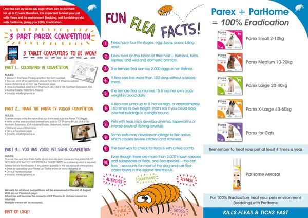 Clare Hughes tweet media