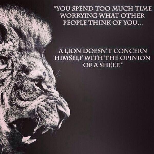 chrome435's tweet image. 💯