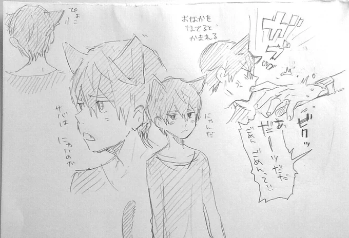 軽率に耳は4つ派 