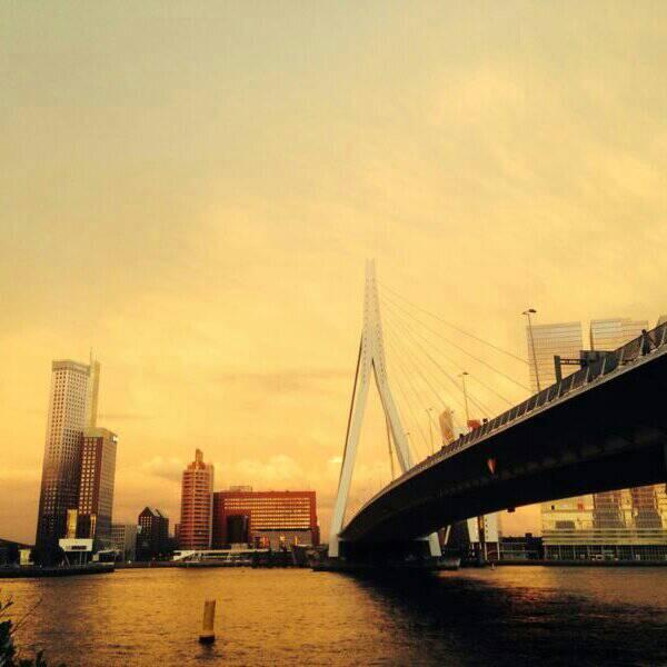 De Erasmusbrug. Mooie foto.