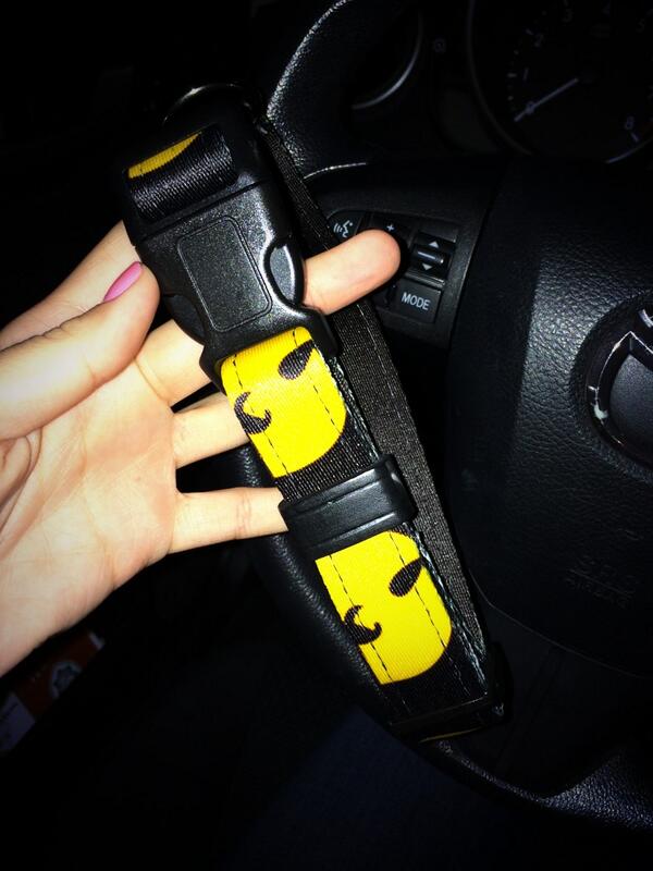 wu tang dog collar