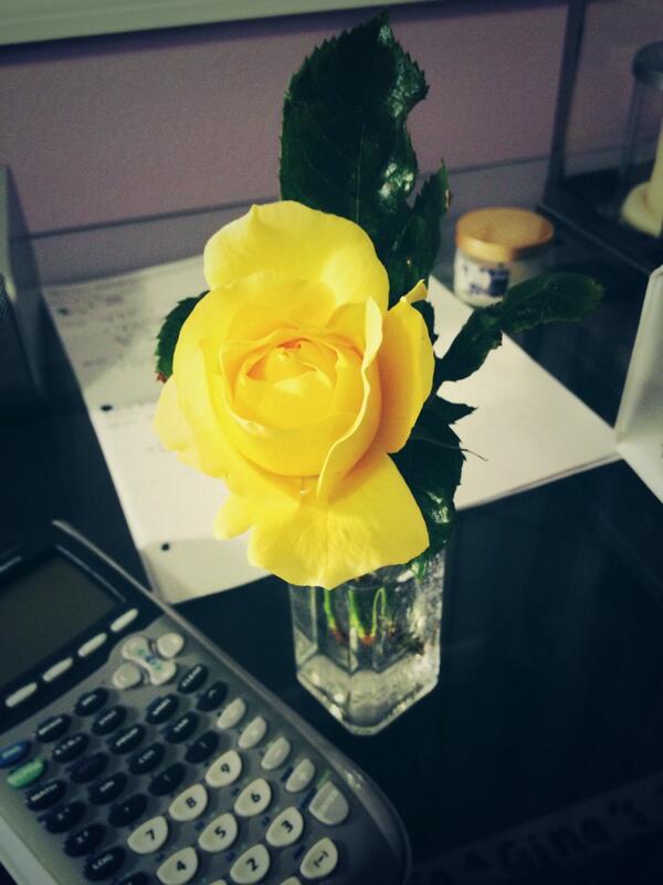 ggggiiinna's tweet image. My mom is hella cute for this hahaha😂👭🌼 #myonlyfriend