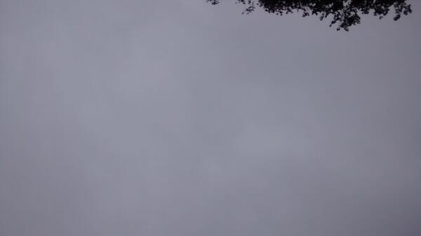 Dia xungu, però, desafiant! Tot plegat més interessant! #bondia jaja