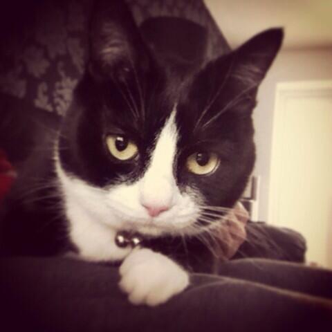 Morning!