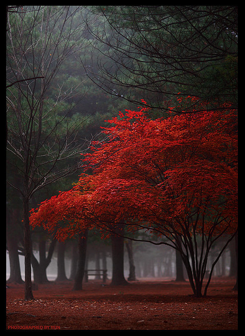 StyleProjectM's tweet image. colors of nature, I love it.#Pinterest#flickr.com