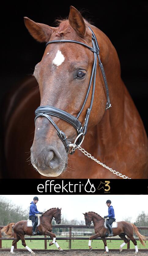 Effektri Omega 3 tweet media