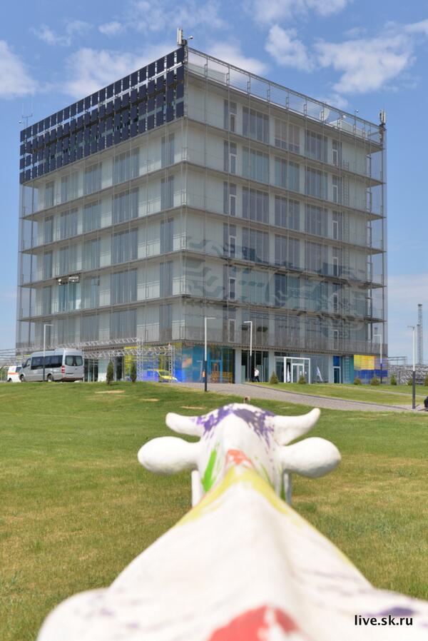 fondskolkovo's tweet photo. Автомобиль на уникальном биотопливе едет на @StartupVlg в #Сколково #SUV2014 #RST14 - http://t.co/duhM3Cxlac http://t.co/kAl8JWOwHa