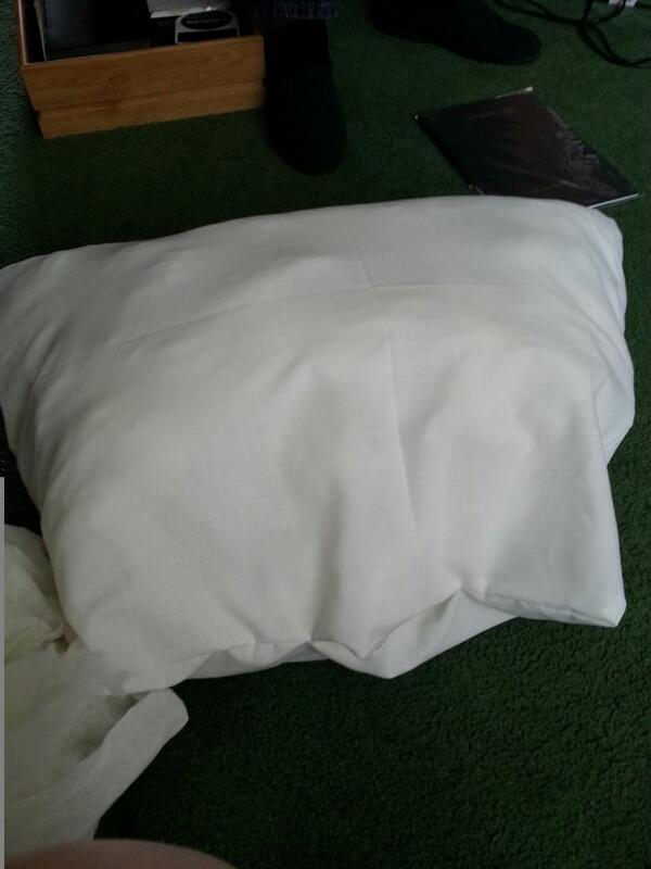 Heatherx12's tweet photo. Todays job is making and stuffing new cushion interiors to refresh an aging sofa :) http://t.co/vq9RxeyEG2
