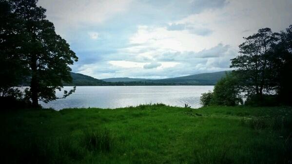 Jessica Rees tweet media