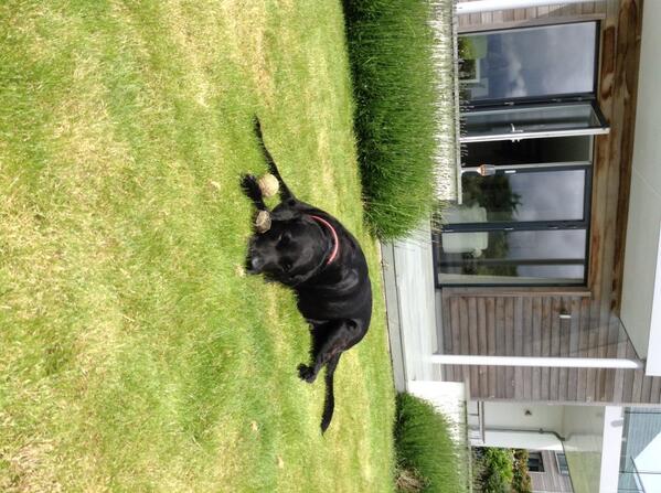 @georginadiana1 here is osci