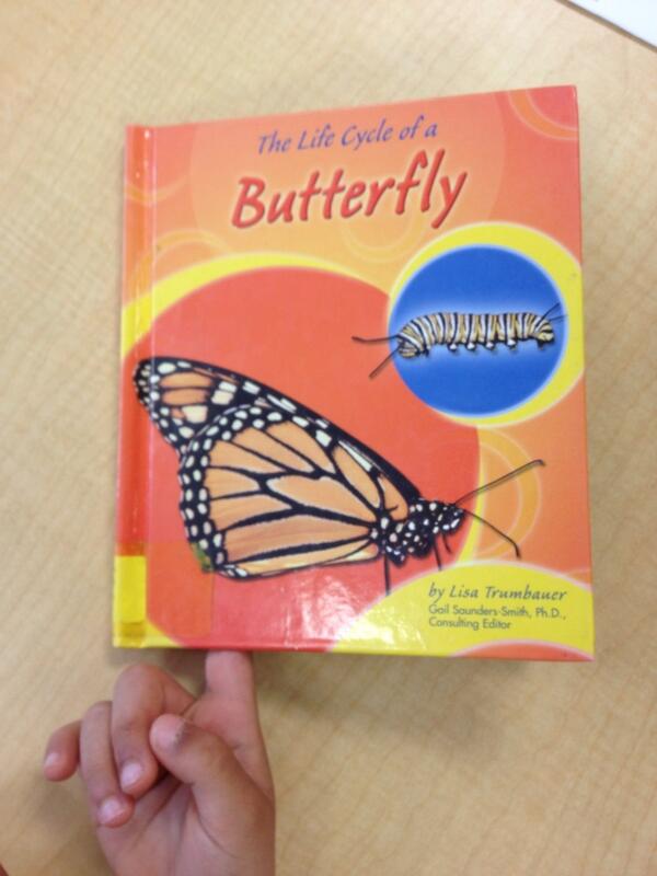 LoriCrestan's tweet photo. Thank you Rowan for bringing this great book to school to share with the class. http://t.co/FieuutDsQW