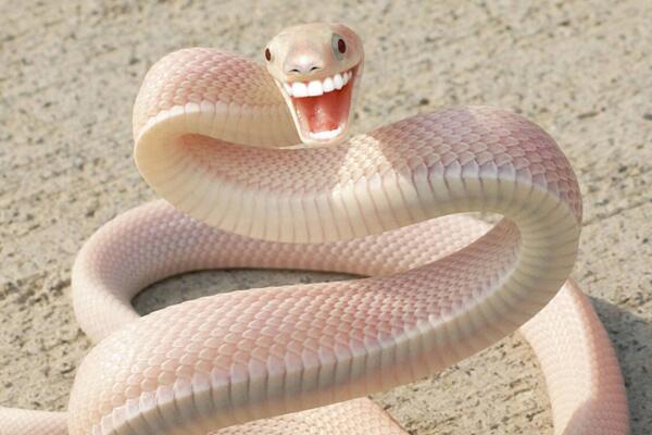 huanmiOfizie's tweet photo. Hay lágrimas que te salen por un ojo de la cara. http://t.co/u77MbEZY8H