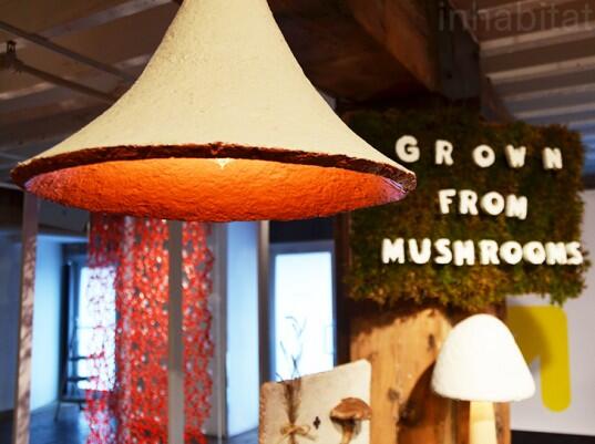 Inhabitat tweet media