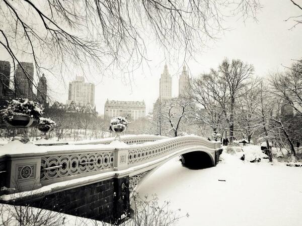 PostBadLandscap's tweet photo. New York Under the snow *_* ! ♥ http://t.co/ZAbg4q36Bk