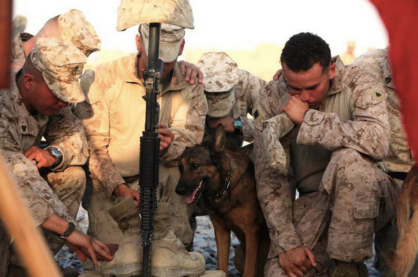 PetsforPatriots's tweet photo. All gave some, some gave all #MemorialDay #freedom #honorvets http://t.co/Xzj6GR9G1y