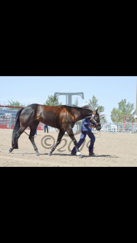 OpenShowQueen tweet picture