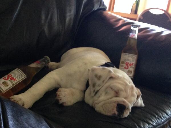 SamPepperRA tweet picture