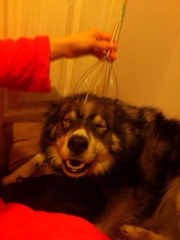 When someone plays with my hair