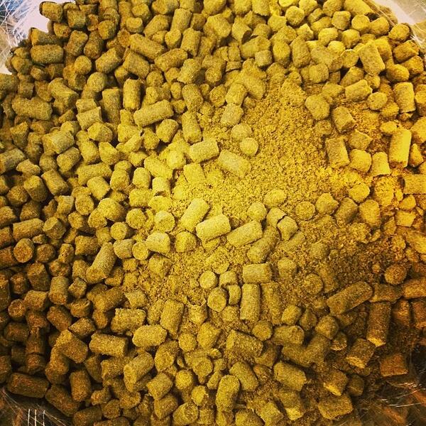 BikeDogBrewing's tweet image. Time to make the donuts #westsac #newIPA