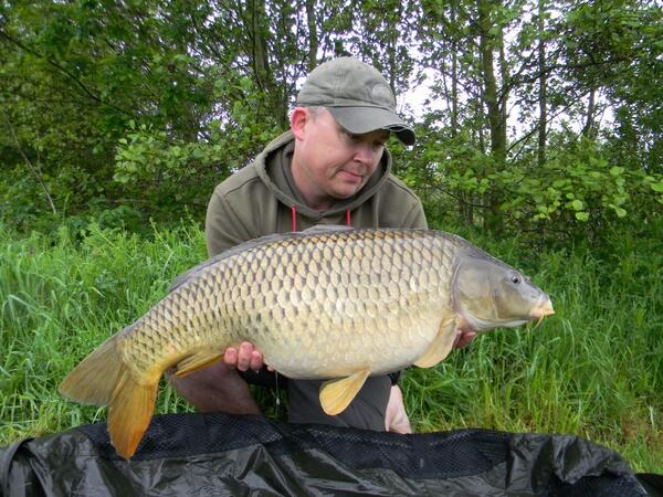 <a href="/SRenyard/">steve renyard baits</a> hi. Picked up this immaculate 25lb common this weekend on ur new withy pool mix. Another great bait fella!