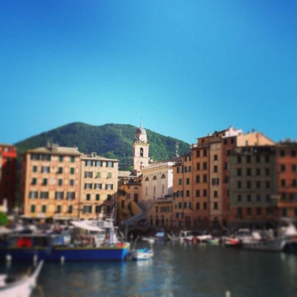 camogligram's tweet photo. Camogli: #camogli #sunnyday by @alefarace http://t.co/q02ahH8FdZ
