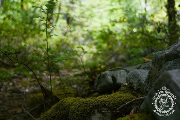 TransSylvania's tweet image. Stage 2 #TSE #TSEnduro #EastCoastRocks