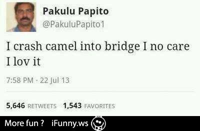 PakulusCamel tweet picture