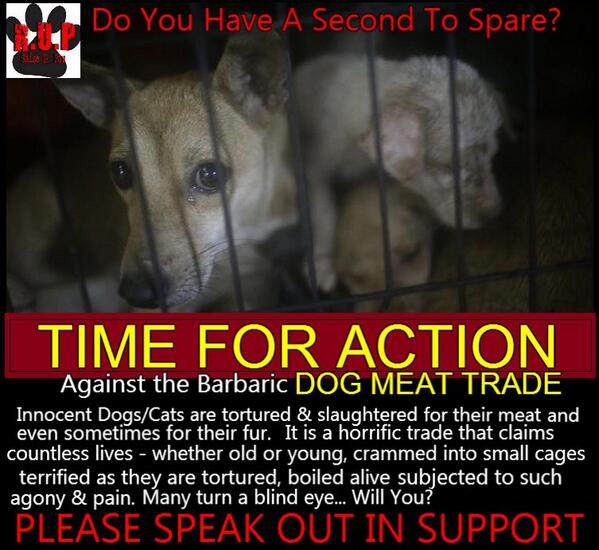 RaiseUrPaw's tweet image. @HuffingtonPost #ATTENTIONNEEDED Pls #RT &amp;amp; #RAISEURPAW Support Against the DOG MEAT TRADE- Speak Out to Save Lives-