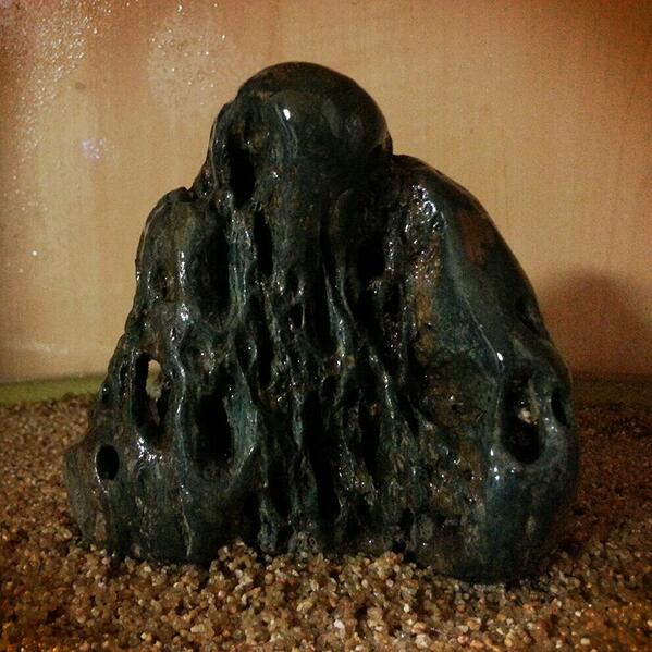 남한강 수석 한점 감상하세요^^