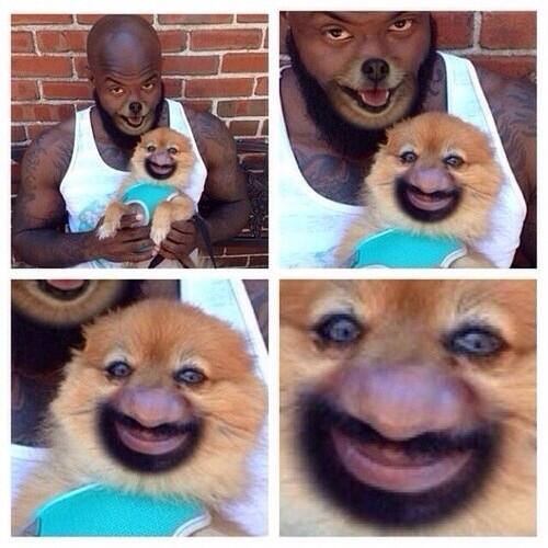 BASEDJESUS's tweet photo. what is this http://t.co/JTJDZICEHv