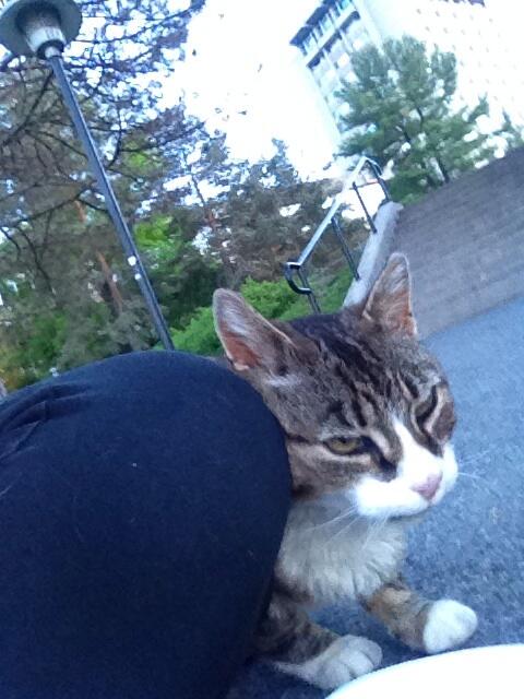 sisipeppertime's tweet image. Chillen with my bud as usual #myonlyfriend