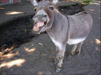 FayAssAddic's tweet image. Best ass of the night