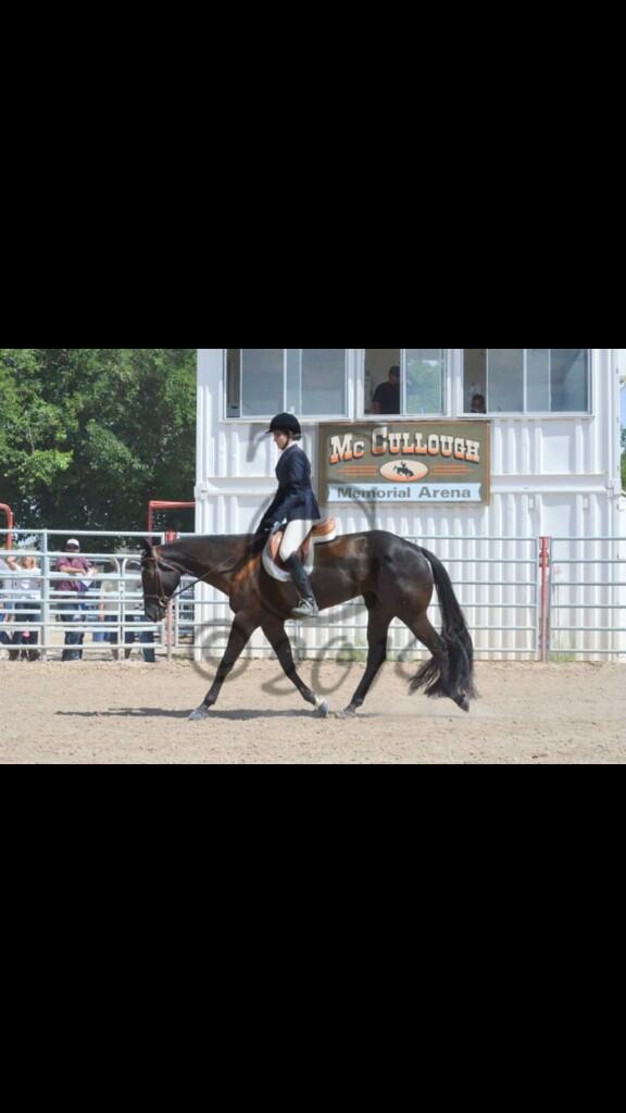 OpenShowQueen tweet picture