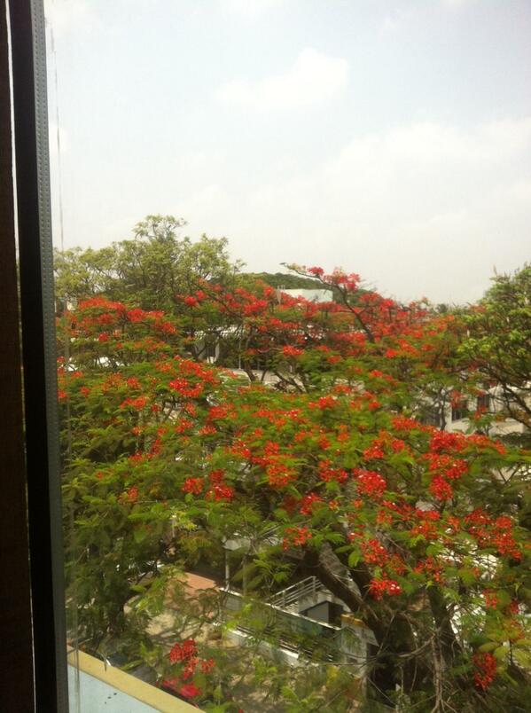 brijbhasin's tweet image. "Office" window for today! #HummingTree #Bangalore