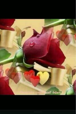 zwaom's tweet photo. http://t.co/9K8gqsnNli