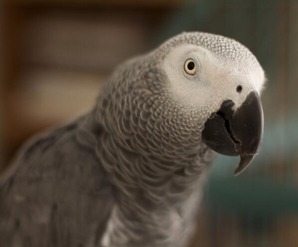 mobile_test's tweet photo. Test test test. http://t.co/F7gdKbH4OM