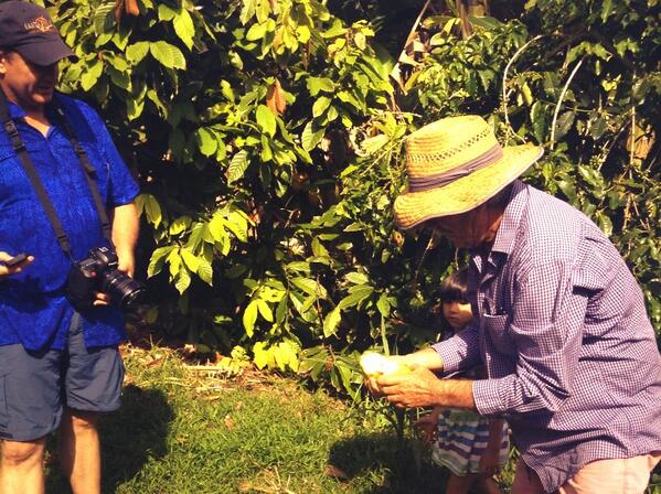 Ono Organic Farms tweet media