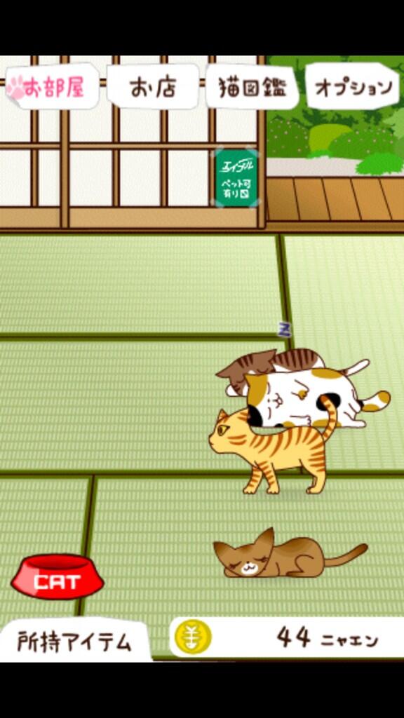 这个游戏怎么多挣钱啊！日文不太懂诶，只是逗猫玩有点无聊
