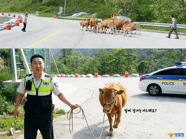 polonsori's tweet photo. 소생크 탈출을 막고 있는 삼척 경찰서 윤하동 경위와 김진태 경사 #소생크탈출 http://t.co/Nsm8lFCjAB