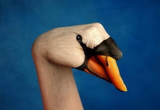 kristinem5's tweet photo. Hand art http://t.co/KgIHqwKdDF