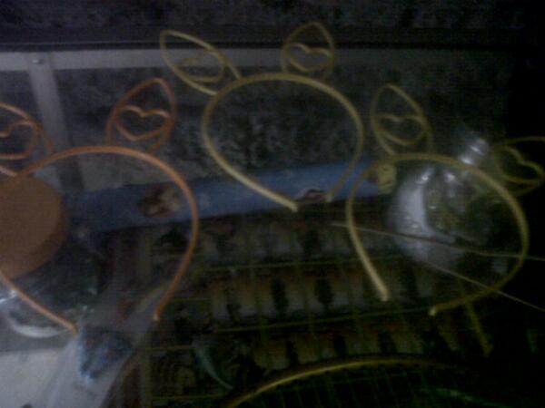 Bintang Earcat #second #barter