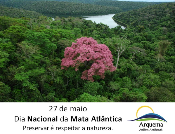 Arquema tweet picture