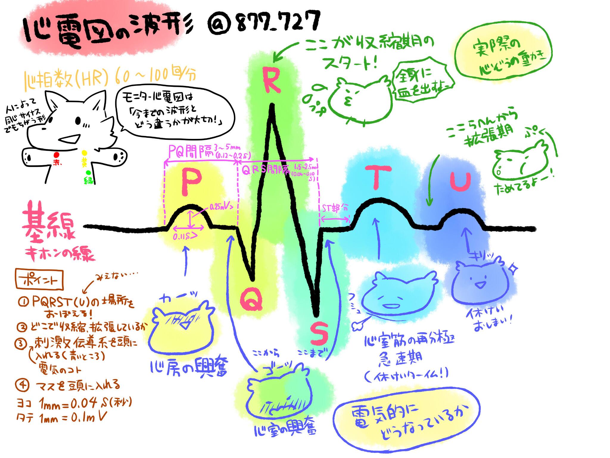 看護師のかげさん イラスト看護帖書籍化 心電図を読む Sinus波形 洞調律 きほんの形について どこがqrstかは絶対頭に入れないと勉強が始まらないので覚える Http T Co Fwuzup4fun Twitter