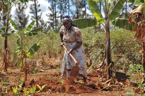 UNFCCC's tweet photo. Kenya can lead on climate change adaptation: http://t.co/GrjvzuxBDR
#climateresilience http://t.co/48mUk1gc1h
