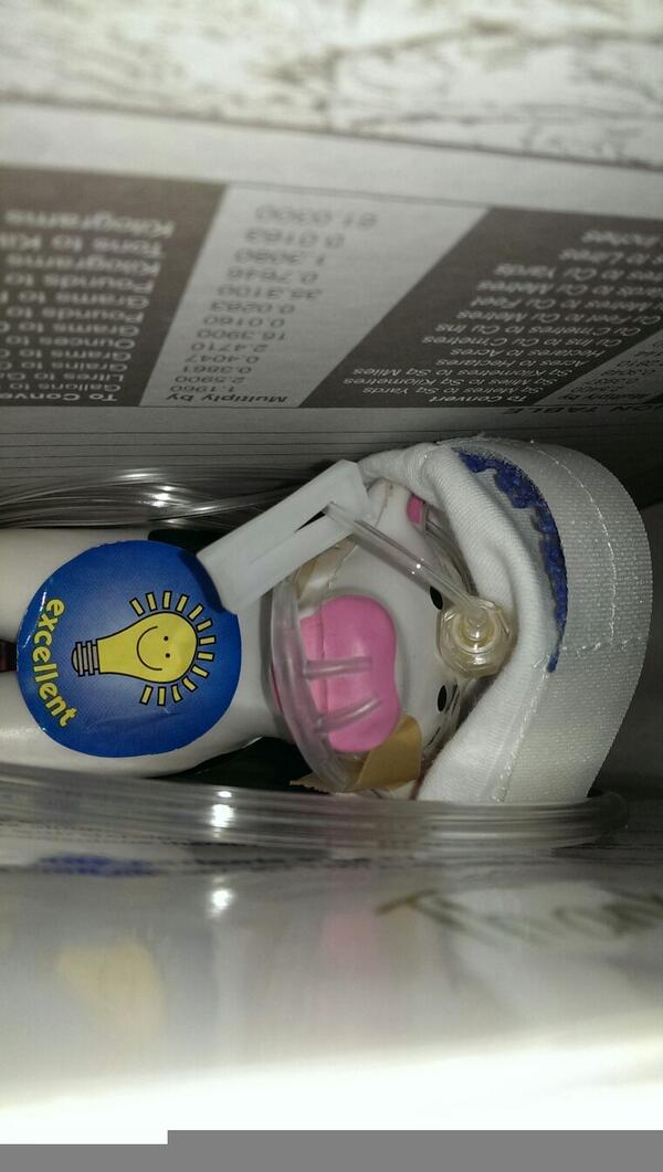 NephrologyCow's tweet photo. @dradamnicholls @loulou_watson Have you found me yet? http://t.co/HZAizos28b