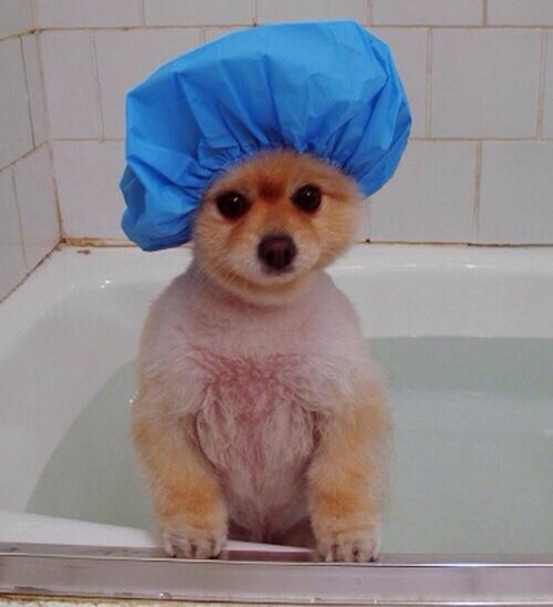 Emily Jesson (@emilyjesson) on Twitter photo 