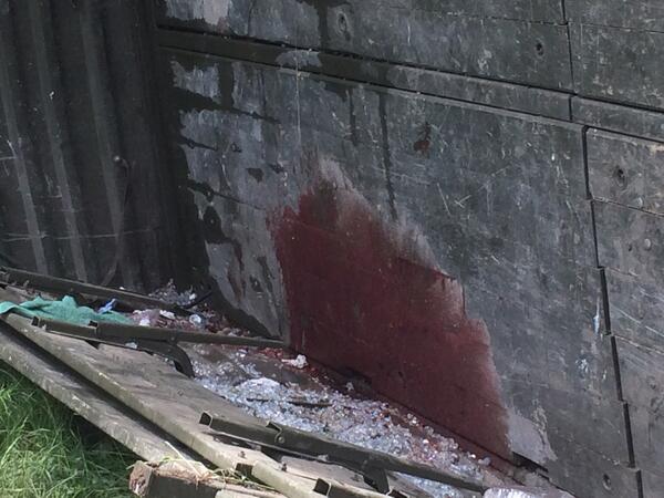 Ver imagen en Twitter