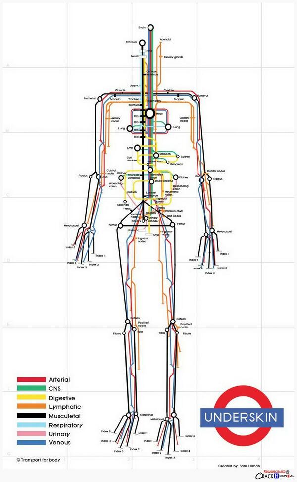 qikipedia's tweet photo. The human body as an underground map (Image: Sam Loman)… http://t.co/HDItOQ8bxU