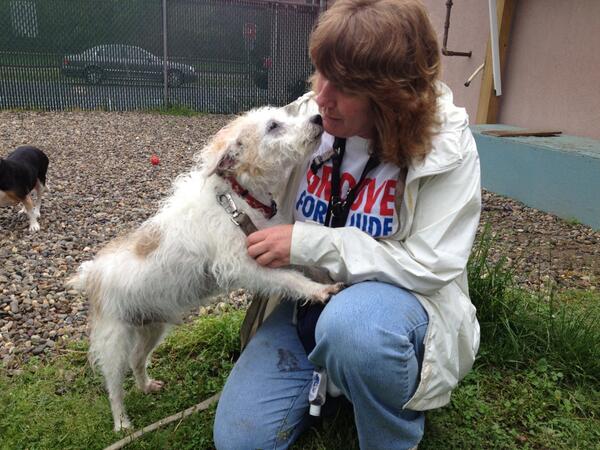 Our senior boy Lucky still looking for a place to lay his head!  This 14 yr old is an os. Come c him 12-6